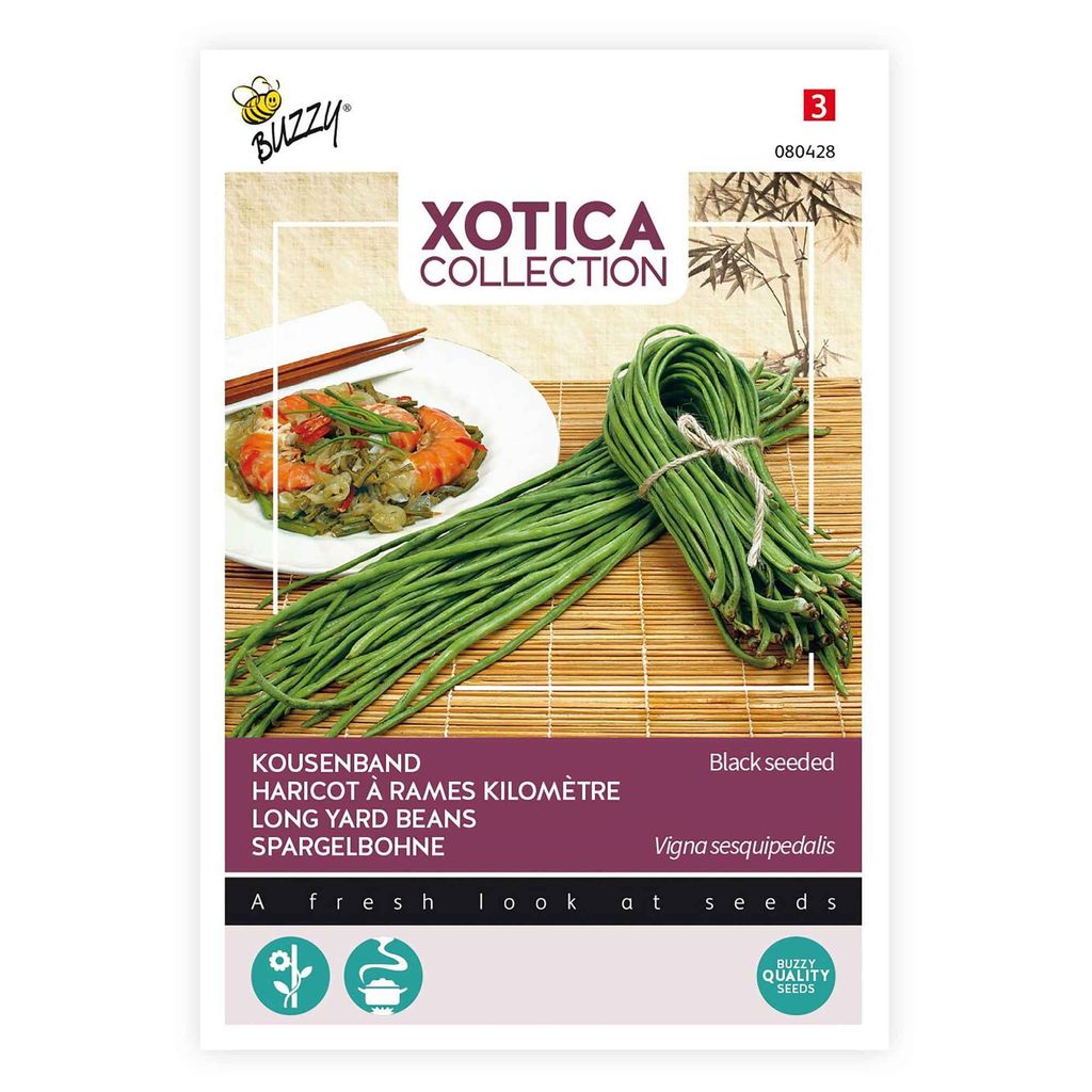 Buzzy Xotica Spargelbohne Metro Nero Samen - Ca. 10 gr | Produktbild 
