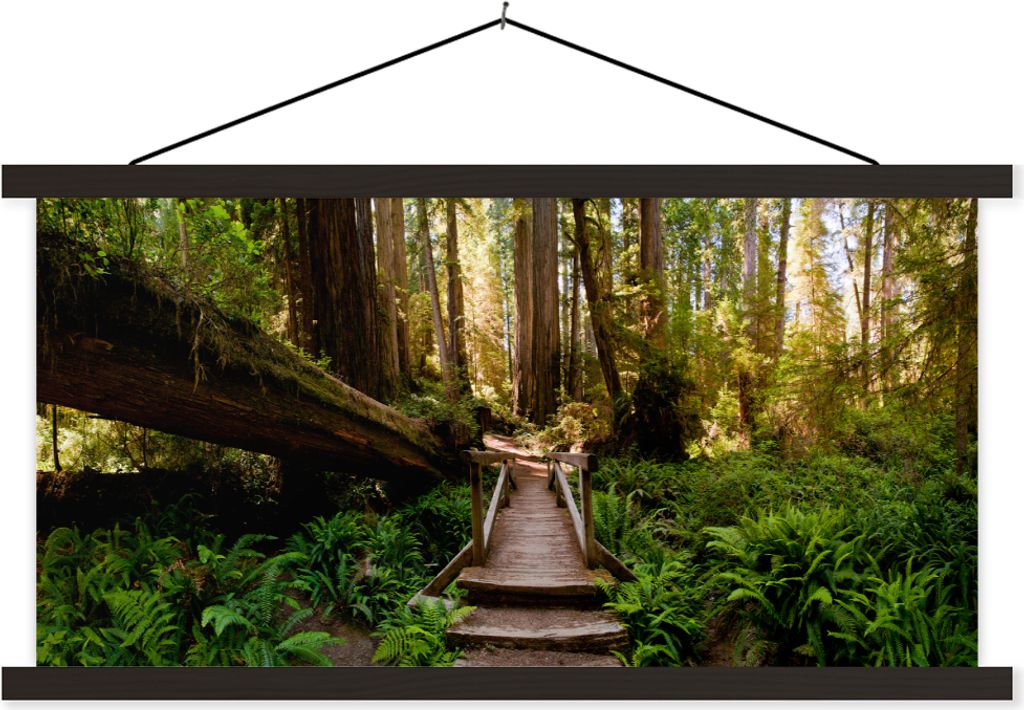 MuchoWow Textilposter Dschungel - Natur - Treppe - Bäume 90x45 cm mit schwarzem Rahmen - Klemmleisten