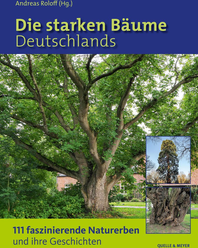 Die starken Bäume Deutschlands