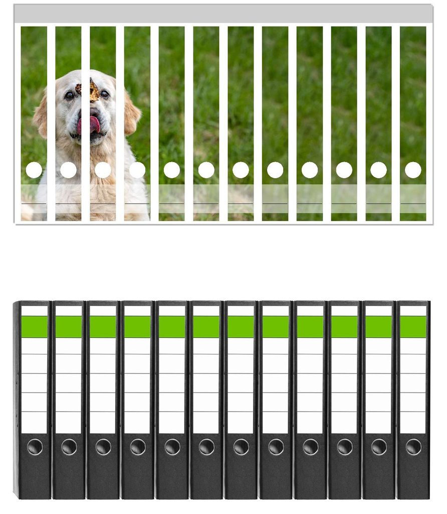 Wallario 12 Stück schmale Ordner inkl. Klebeetiketten mit Motive Hund trifft Leckerli - Set mit Rückenschildern / Ordnerrücken Stickern
