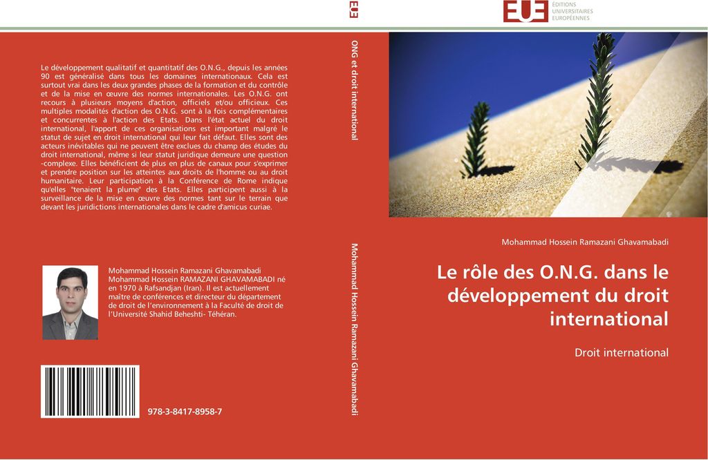 Le rôle des O.N.G. dans le développement du droit international