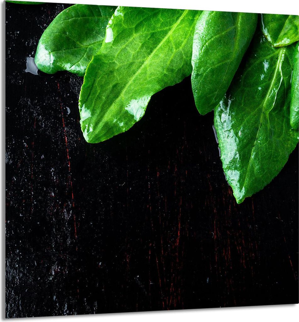 GLASPLATTE FÜR KÜCHE 60x65 Basil