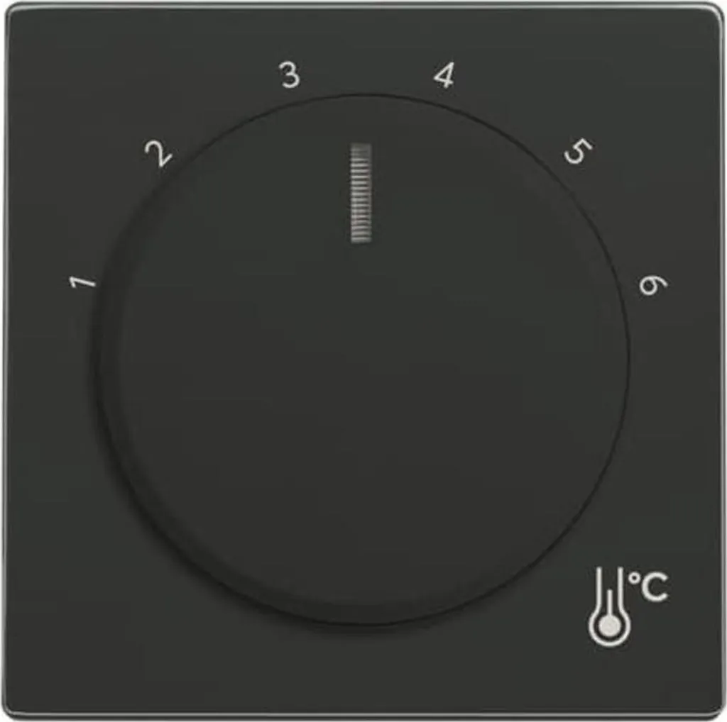 Enjoliveur de Prise Busch-Jaeger 1794 R-81 Disque Central Design