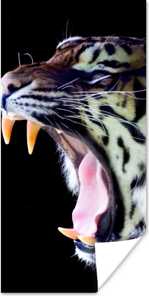 MuchoWow Poster Brüllender Tiger auf schwarzem Hintergrund 20x40 cm