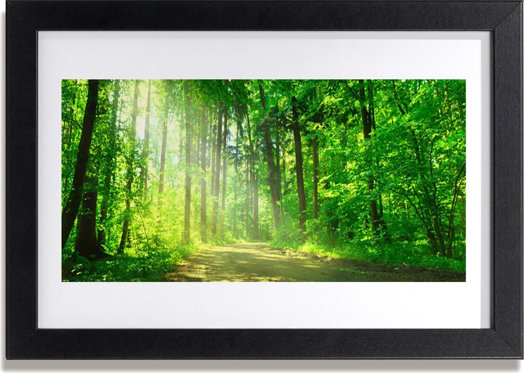 Bild 30x20 MDF-Rahmen Wandkunst Waldweg Bäume Natur