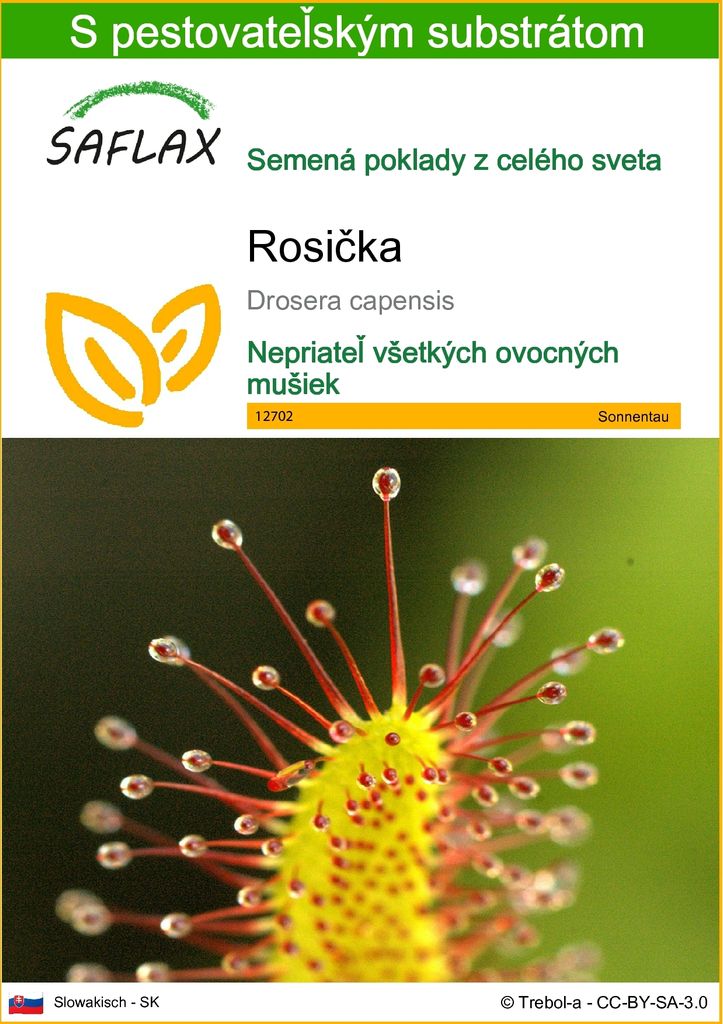 SAFLAX - rosička - Drosera capensis - 200 Semená - S Obrázok produktu 