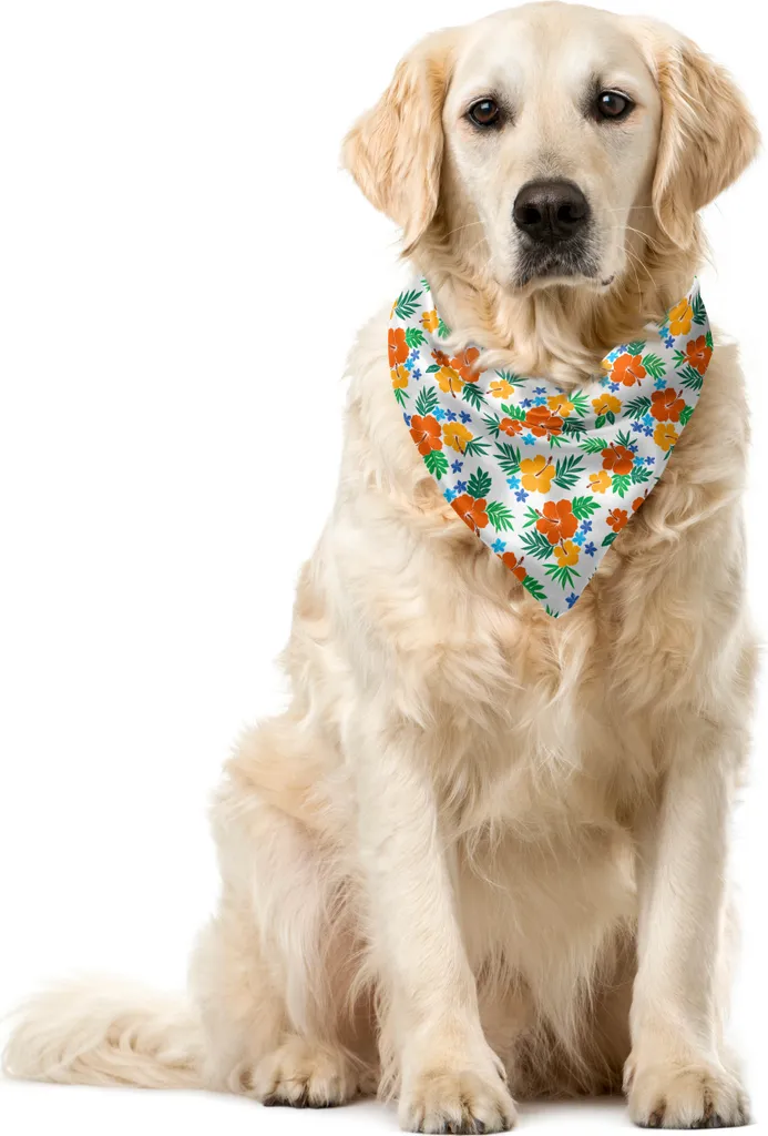 ABAKUHAUS Bandana per animali domestici con fiori, fiori di ibisco colorati, 40x40 cm, bianco e multicolore