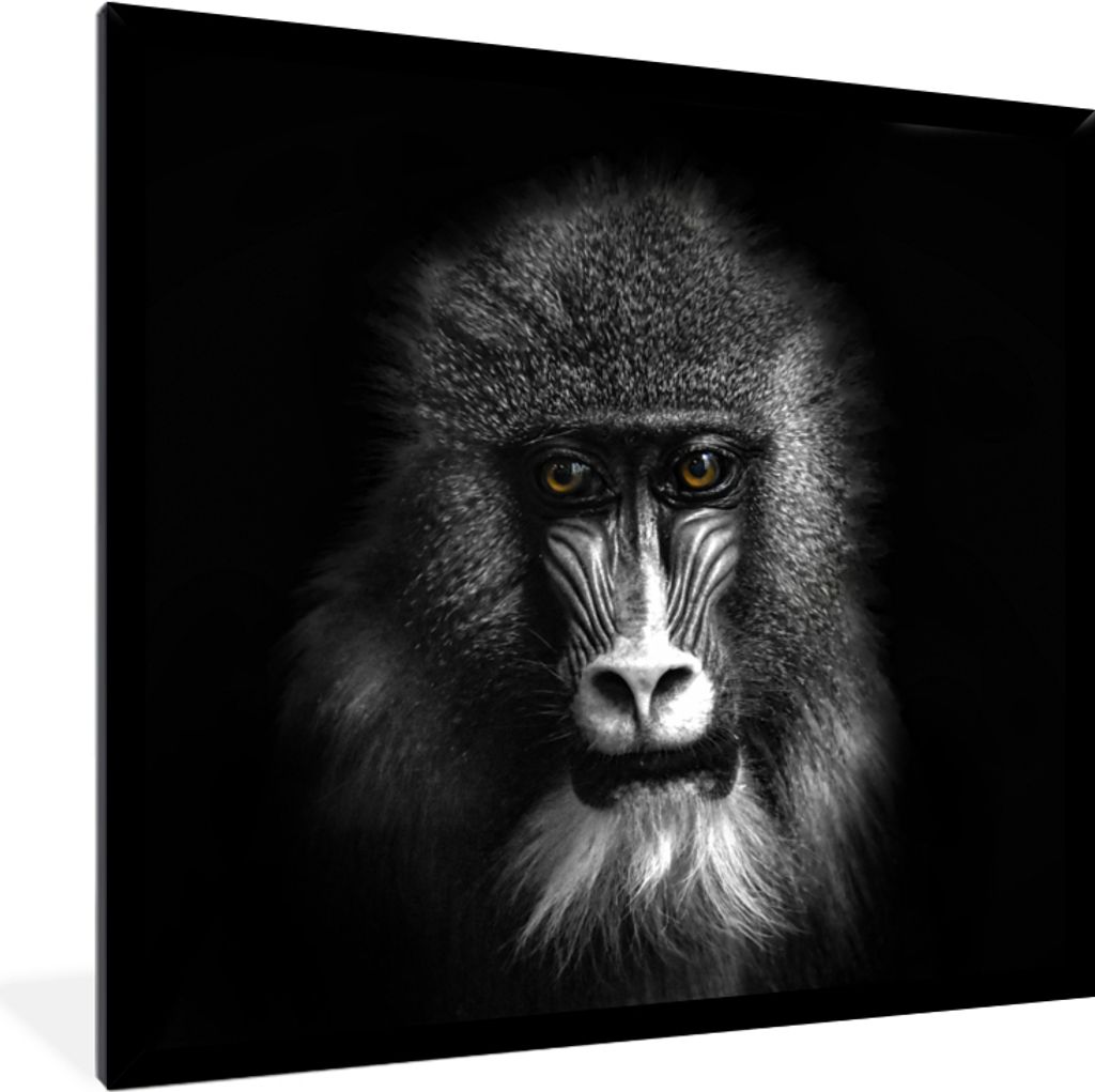 MuchoWow Gerahmtes Poster Affe - Tiere - Augen - Braun - Schwarz und weiß 40x40 cm - Poster mit Schwarzem Bilderrahmen Wandposter Rahmen Foto Bi...