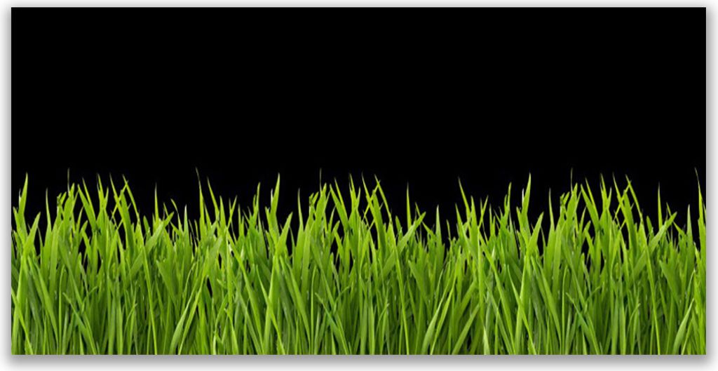 Acrylglasbilder 120x60 Wandbild Druck Gras Natur