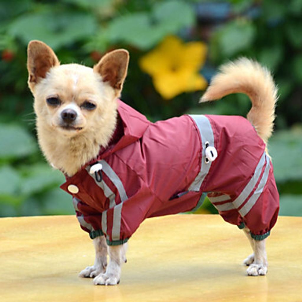 Umhang für Hund Wine XL