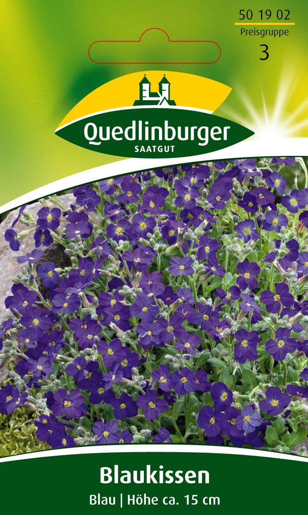 Blaukissen 'Blau' Quedlinburger Blumensamen Produktbild 
