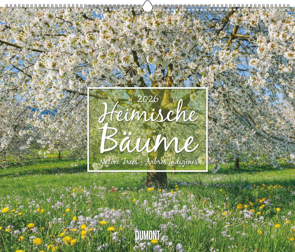 Heimische Bäume 2026 - Wandkalender 60x50 cm - Spiralbindung
