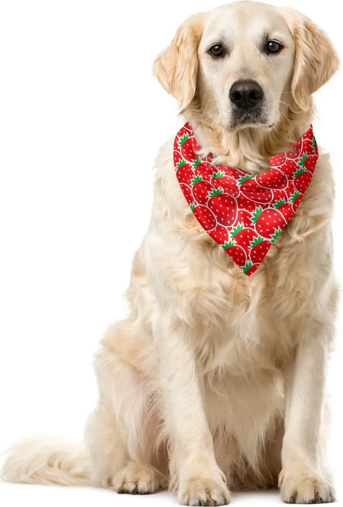 ABAKUHAUS Bandana Animali 55x55cm Fragola - Tessuto Alta Qualità