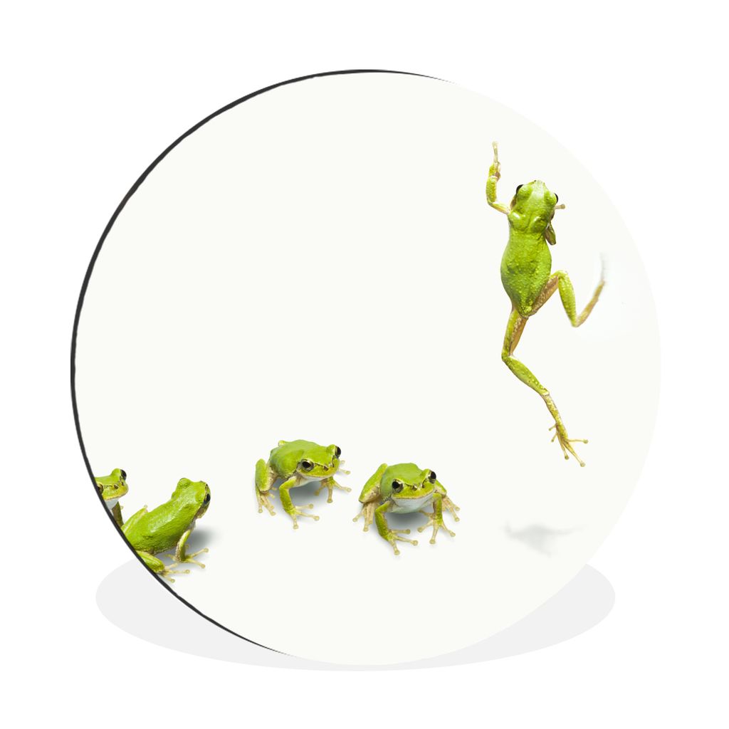 MuchoWow Aluminium Wandkreis Frosch - Tiere - Grün Ø 90 cm Wanddeko Modern Wohnzimmer - Mauerkreis - Wandbilder - Runde Bild - Bild aus Alumini...