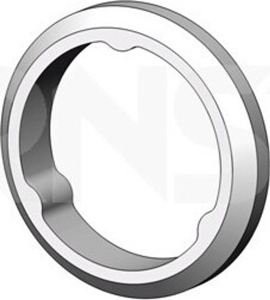 ERNST Dichtring Abgasrohr 498715 Hinten für VW Golf IV Schrägheck (1J1)
