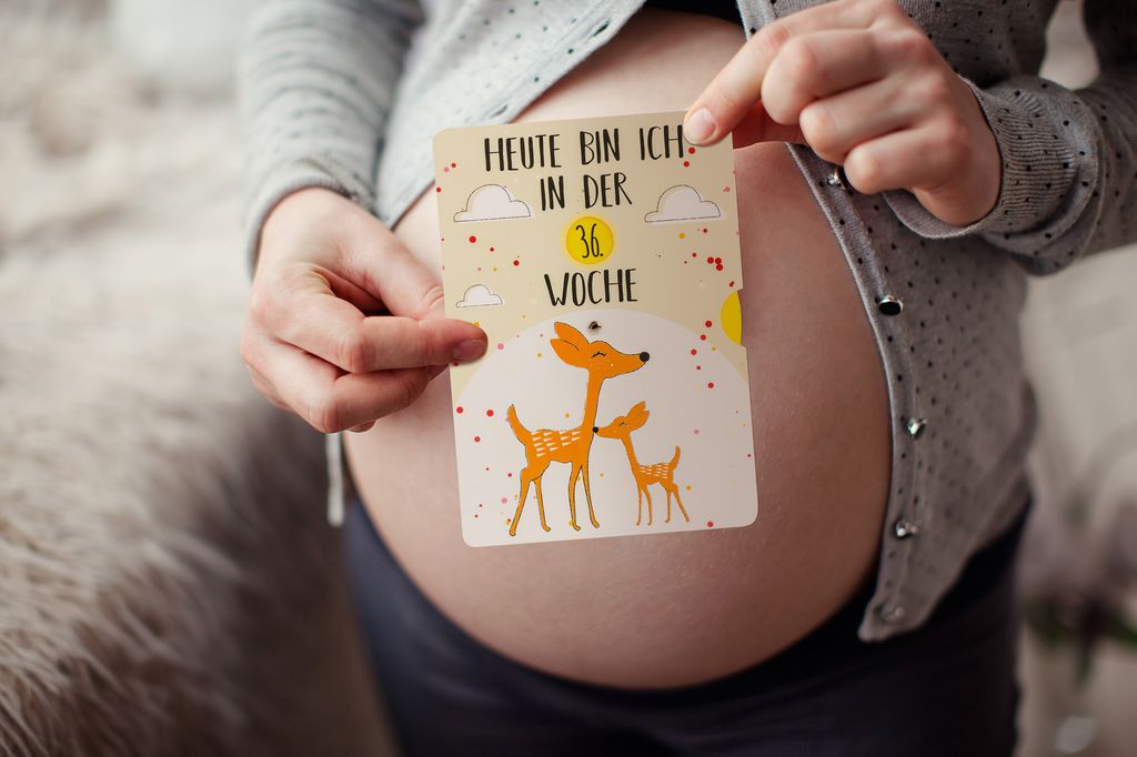 Friendly Fox Meilensteinkarten Schwangerschaft & Baby, 2x Fotokarten in Größe DIN A5, praktische Drehkarten Fotos von Babybauch & Baby