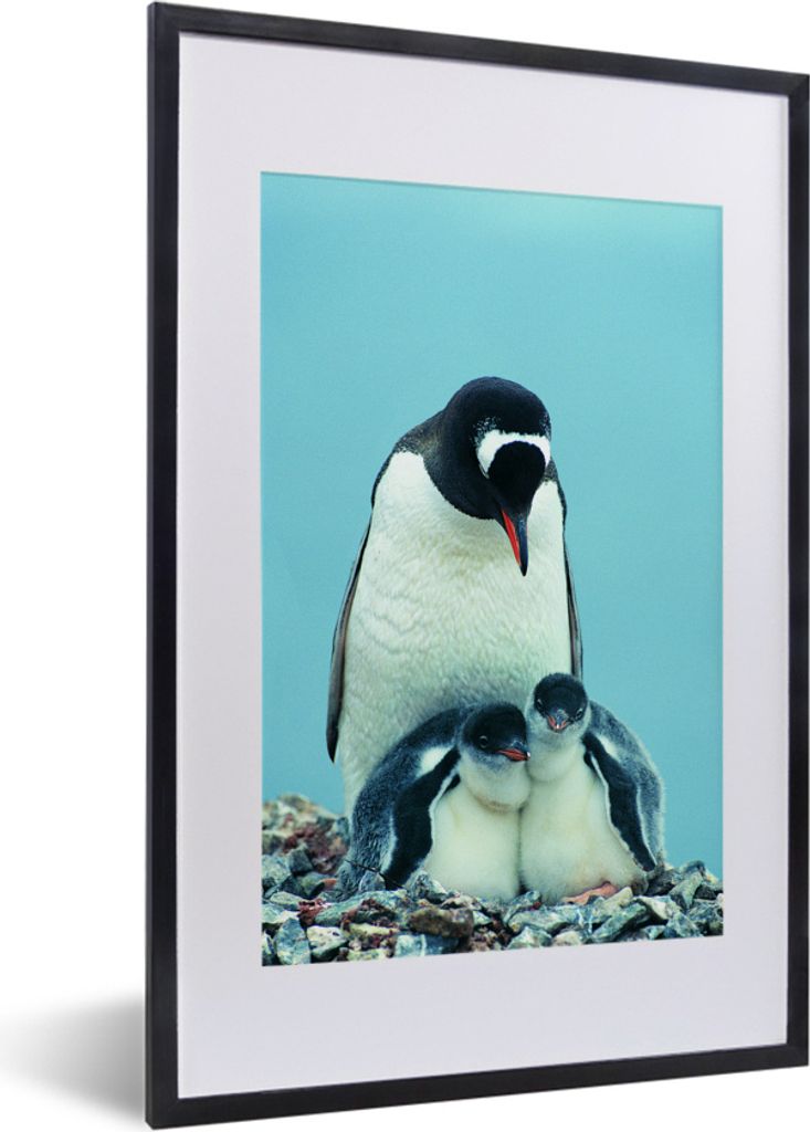 MuchoWow MuchoWow Gerahmtes Poster Tiere - Pinguine - Küken 40x60 cm - Poster mit zchwarzem Bilderrahmen - Poster in Rahmen