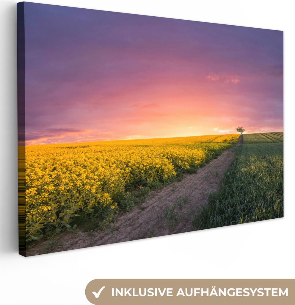 OneMillionCanvasses - Leinwandbilder - 150x100 cm, Blumen - Straße - Himmel - Gelb - Lila - Sonnenuntergang - Natur, Wandbilder Kunstdruck Wandd...