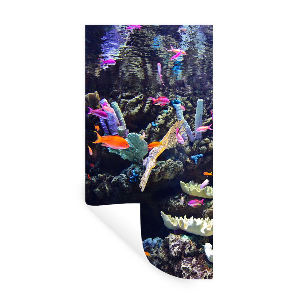 MuchoWow Wandtattoo Wandsticker Wandaufkleber Buntes Aquarium 80x160 cm Selbstklebend und Repositionierbar - Sticker - Dekorfolie