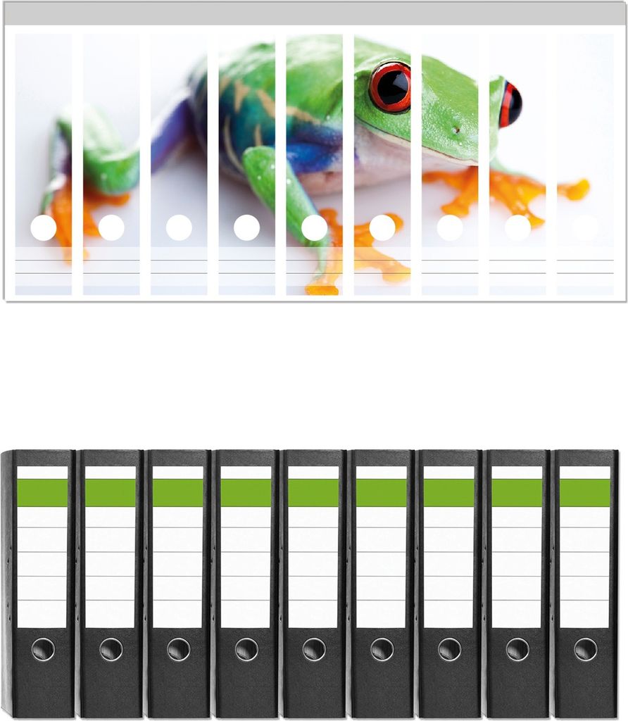 Wallario 9 Stück breite Ordner inkl. Klebeetiketten mit Motive Lustiger Frosch in grün und orange - Set mit Rückenschildern / Ordnerrücken Sti...