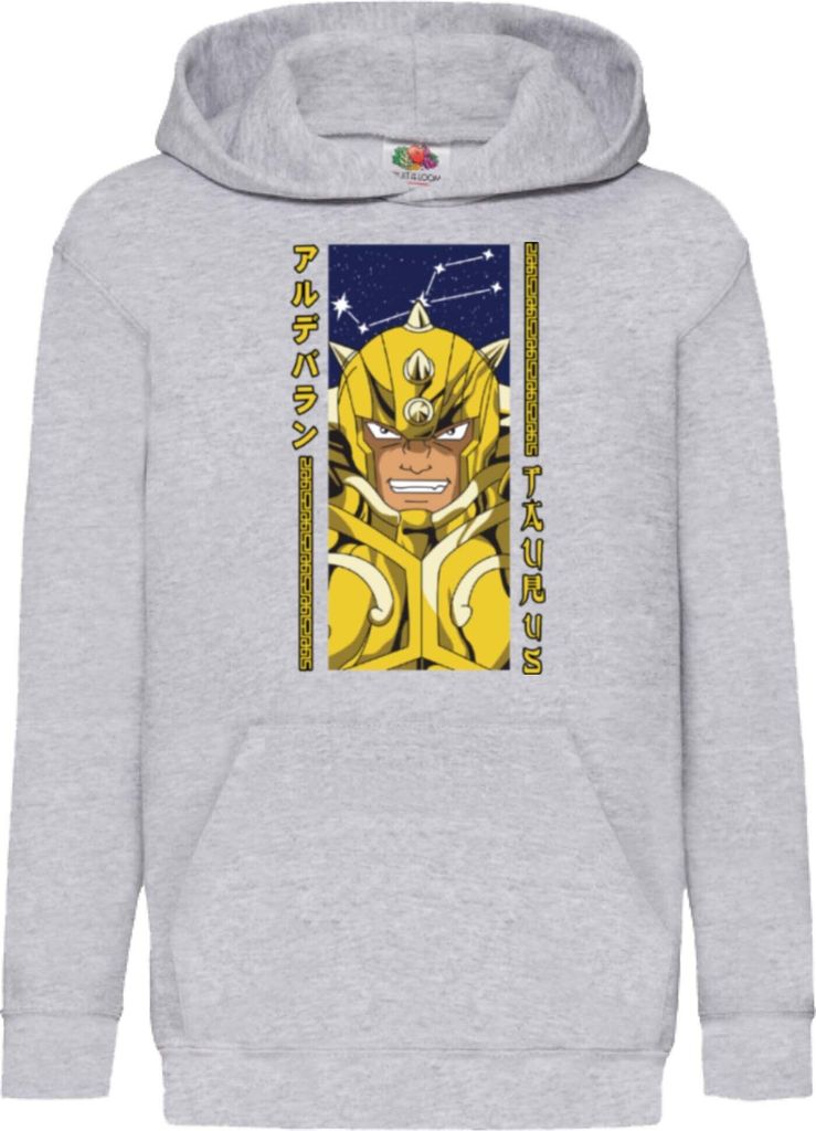 Kinder Kapuzenpullover Japan Anime Manga Saint Anime Seiya Shiryu Shiryu, 9-11 Jahr - 140 / Grau