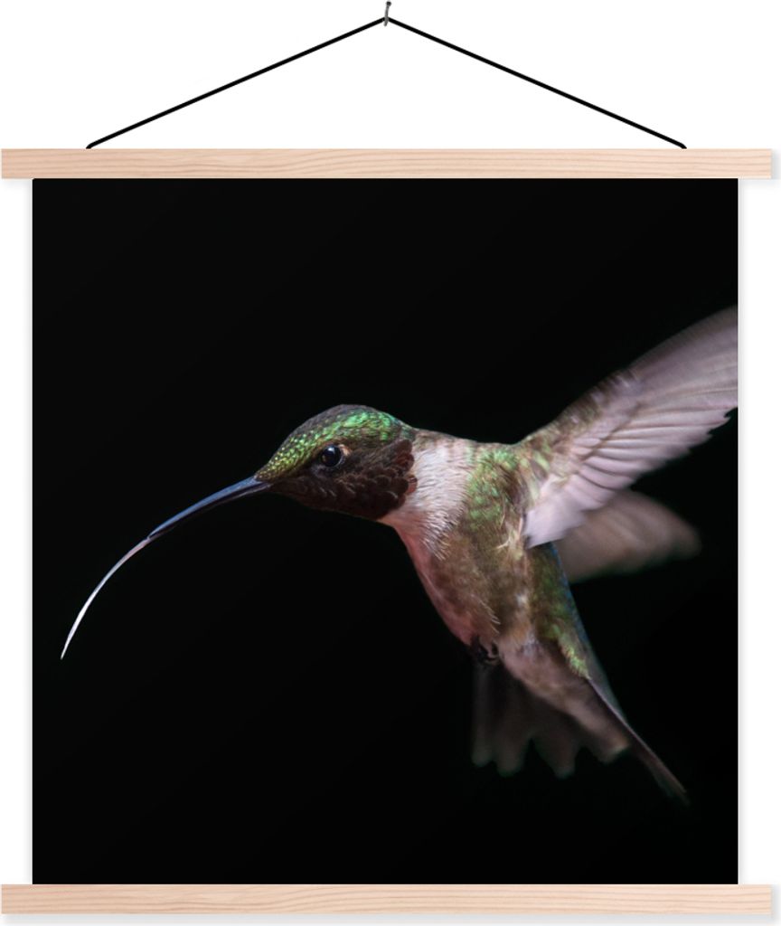 MuchoWow Textilposter Kolibri - Vogel - Federn 40x40 cm mit holzfarbenen Rahmen - Posterleiste