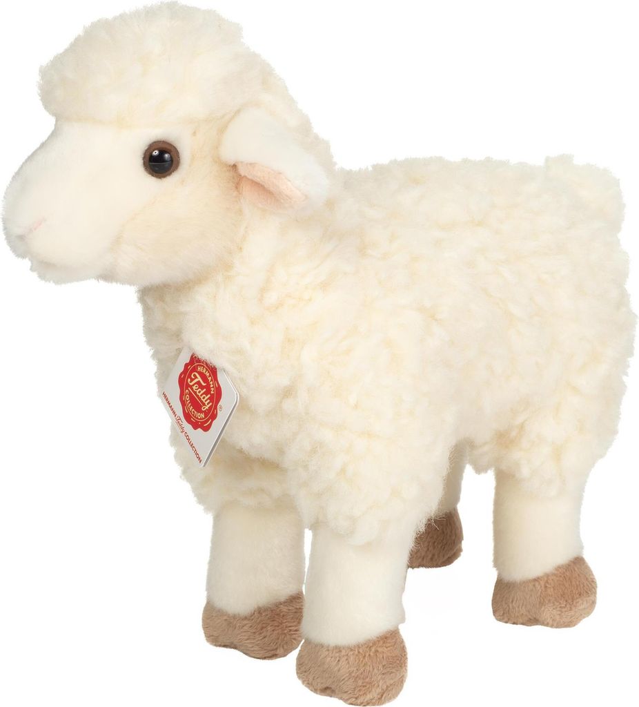 A plush toy sheep standing on a white background.
