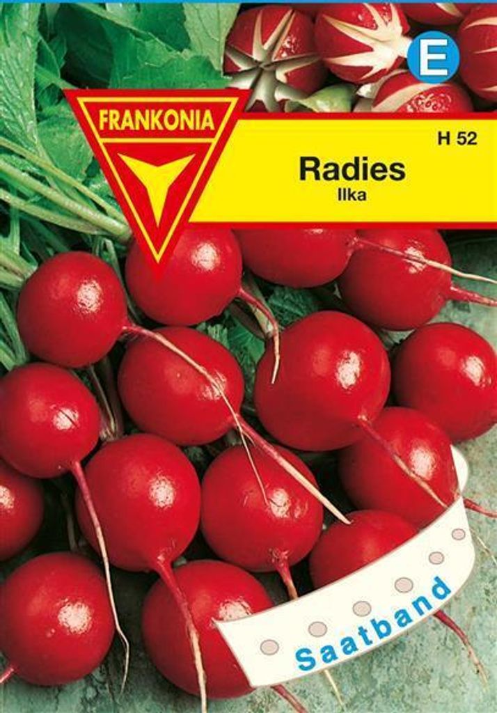 Radies Ilka
