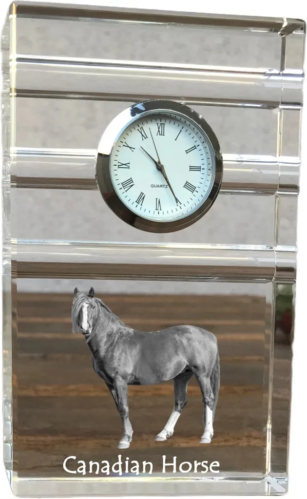 Art-Dog Orologio in Cristallo Cavallo Canadese - Regalo Ufficio Lusso