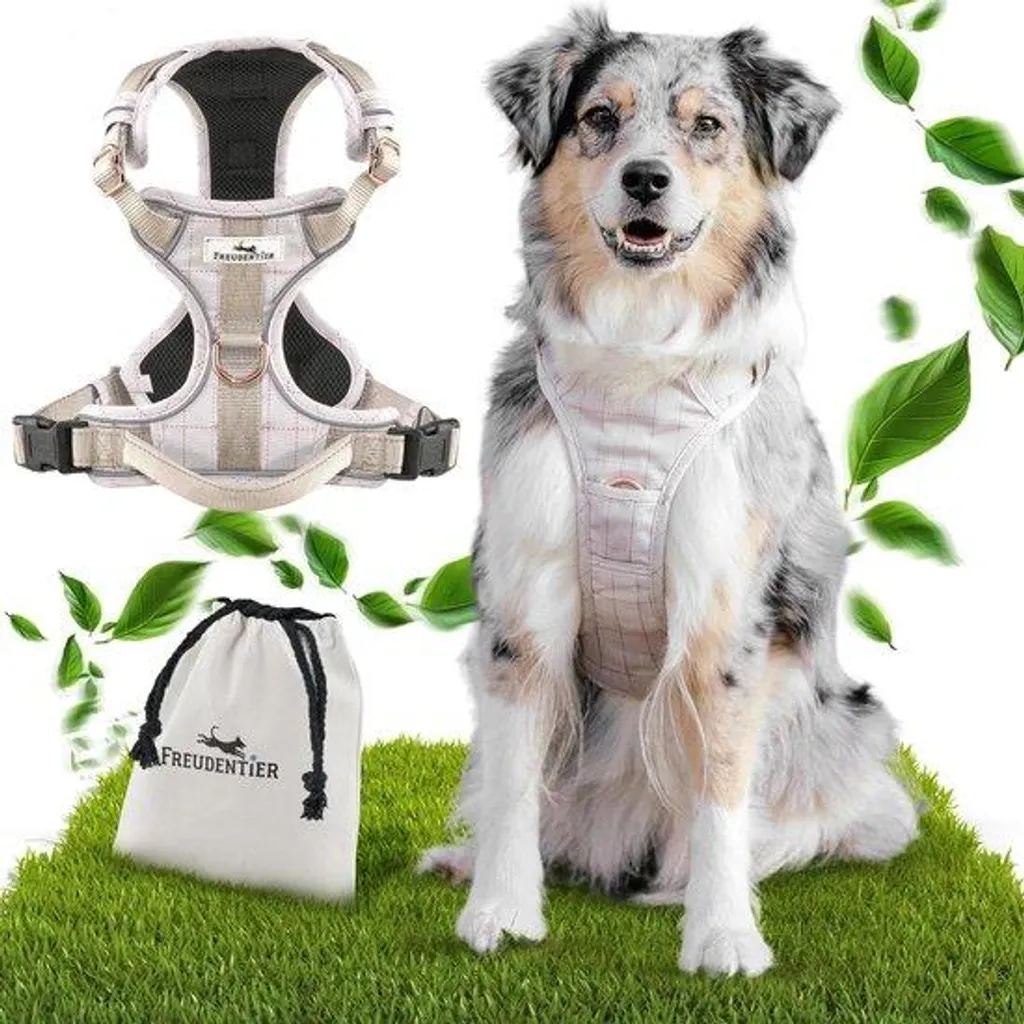 Harnais de randonnée pour chien moyen - Confort longue durée et robustesse