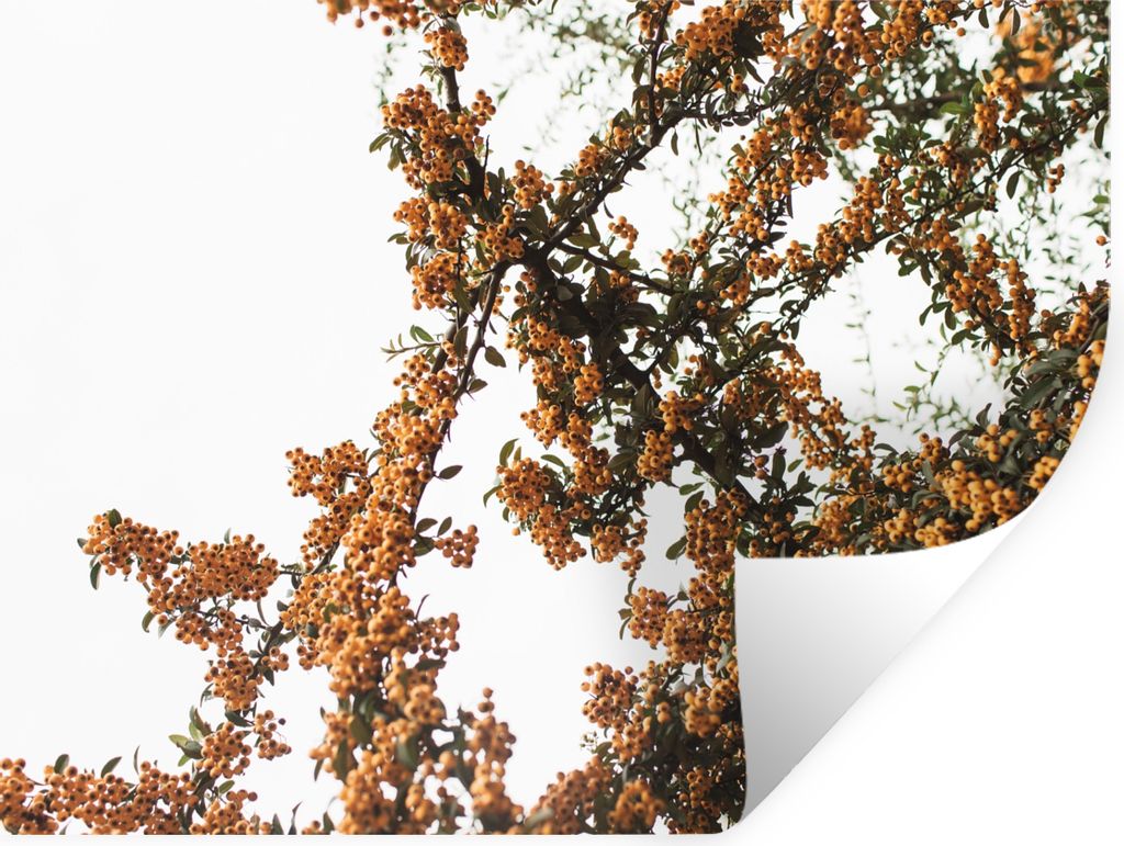 MuchoWow Wandtattoo Wandsticker Wandaufkleber Blumen - Äste - Natur 120x90 cm Selbstklebend und Repositionierbar - Aufkleber