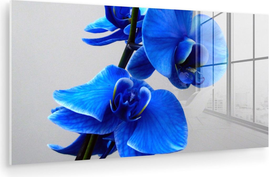 MuchoWow Glasbilder - Bilder auf Wandbild - Foto auf Glas Blaue Orchidee 80x40 cm Wanddekoration aus Glas - Acrylglasbild - Acrylbilder - Wanddeko ...