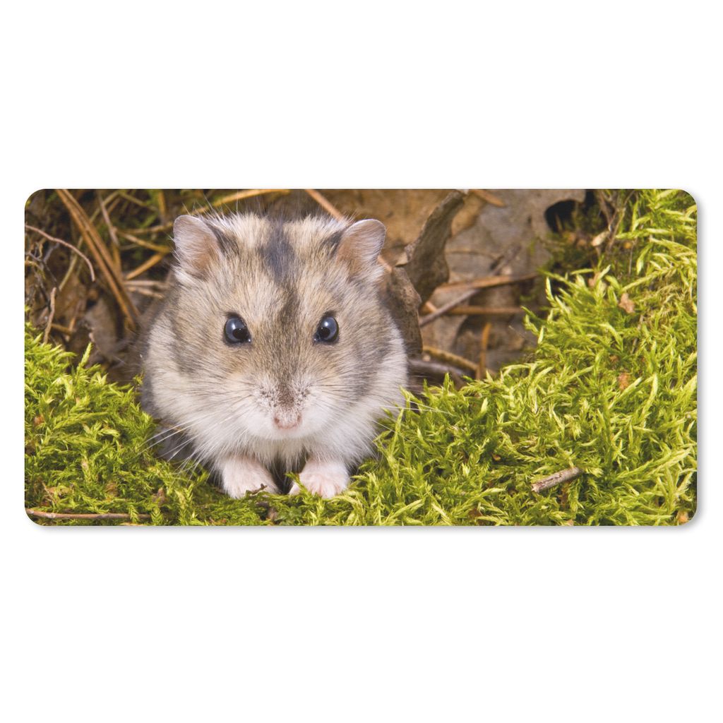 MuchoWow Mauspad Mousepad Grauer Zwerghamster 60x30 cm - Mousepads - Maus Mat - Pad - Mausunterlage - Nachhaltig