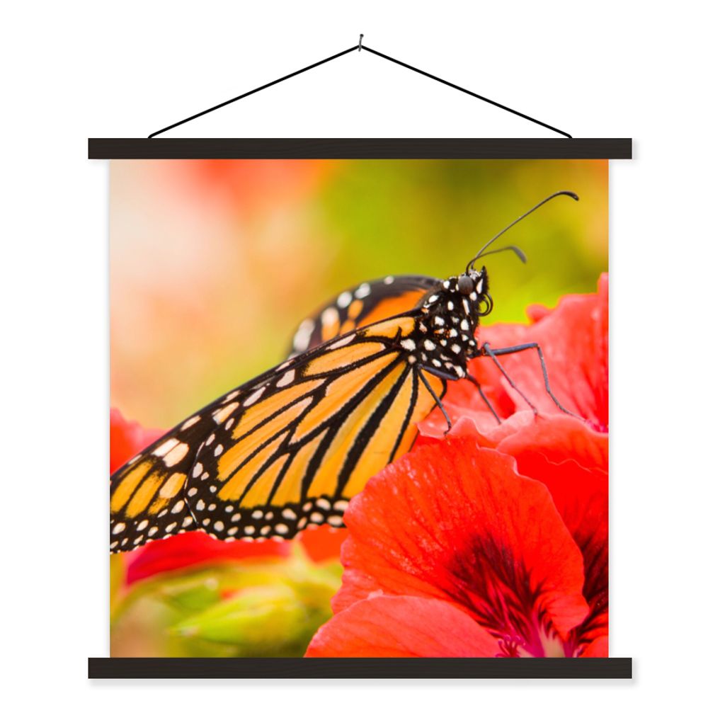 MuchoWow Textilposter Blumen - Schmetterlinge - Monarch 40x40 cm mit schwarzem Rahmen - Fotos