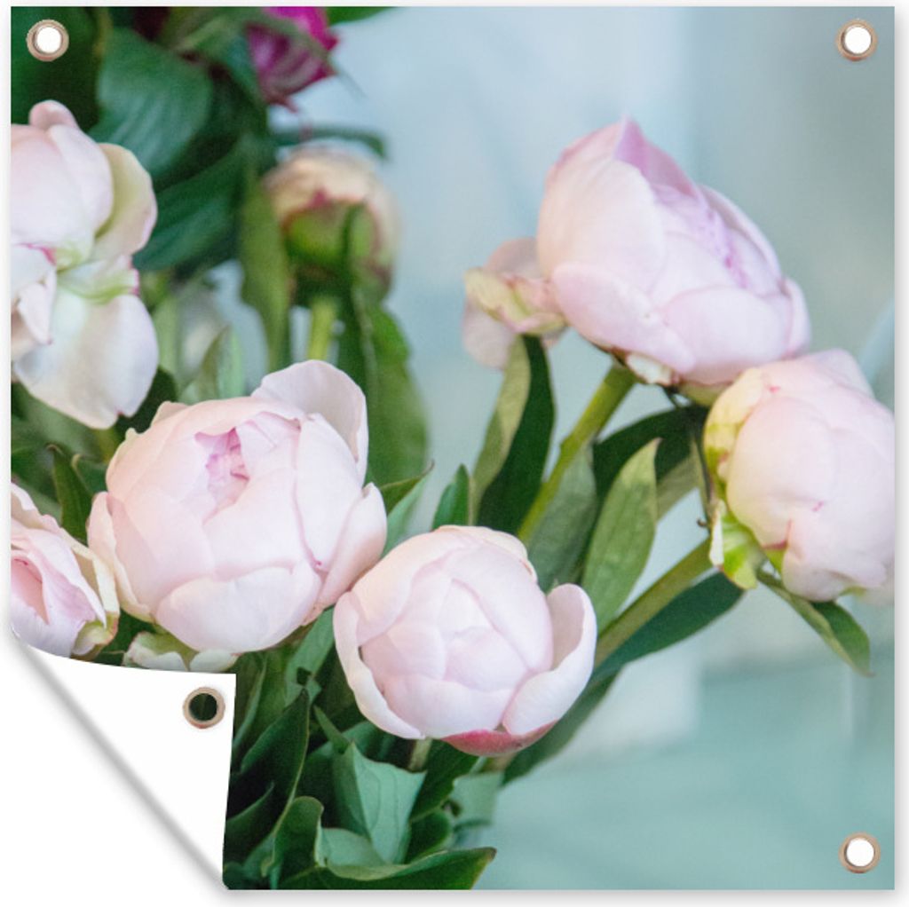 MuchoWow 100x100 cm Outdoor-Poster Gartendeko Sichtschutz Garten Poster für den Garten Knospen von rosa Pfingstrosen in einer Vase