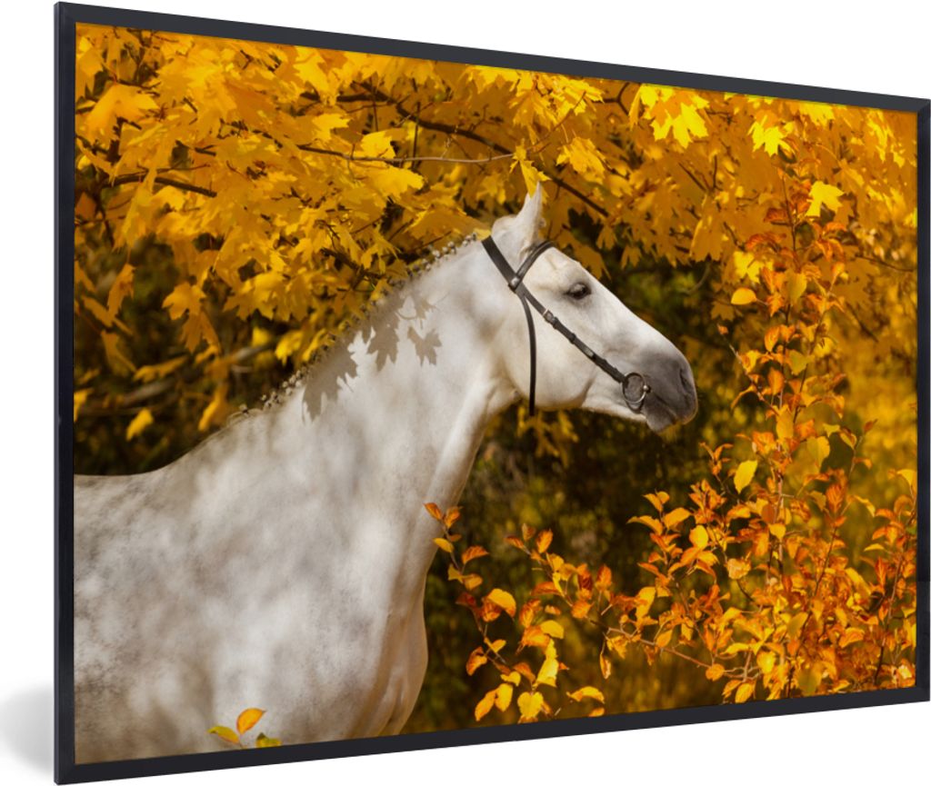 MuchoWow MuchoWow Gerahmtes Poster Pferd - Laub - Herbst 60x40 cm - Poster mit zchwarzem Bilderrahmen - Printing - Wanddeko Schlafzimmer