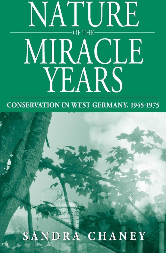 Nature of the Miracle Years