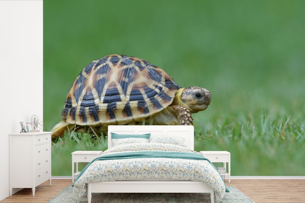 MuchoWow Fototapete für Wohnzimmer oder Schlafzimmer Wandtapete Vinyl Motivtapete Schildkröte im Gras - 450x300 cm - Gemusterte