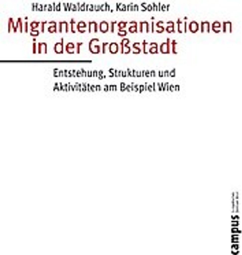 Migrantenorganisationen in der Großstadt