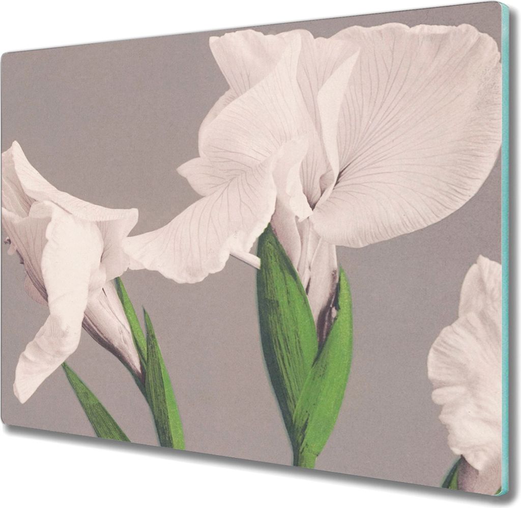 Coloray Küchenbrett Kochplattenabdeckung Hackbrett Schneidebrett Herdabdeckplatte 60x52 cm - Blumen Pflanzen