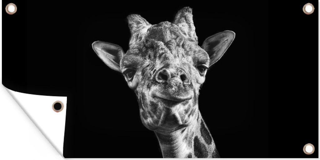 MuchoWow 80x40 cm Outdoor-Poster Gartendeko Sichtschutz Garten Poster für den Garten Giraffe - Tier - Schwarz - Weiß