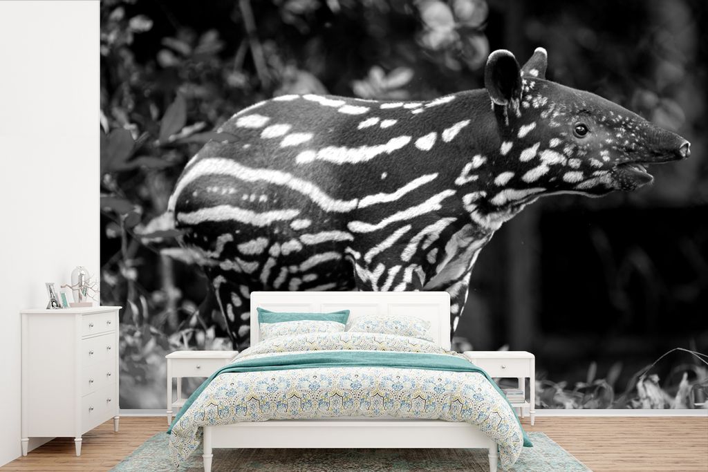 MuchoWow Fototapete für Wohnzimmer oder Schlafzimmer Wandtapete Vinyl Motivtapete Junger Tapir im Dschungel - schwarz und weiß - 420x280 cm - Z...