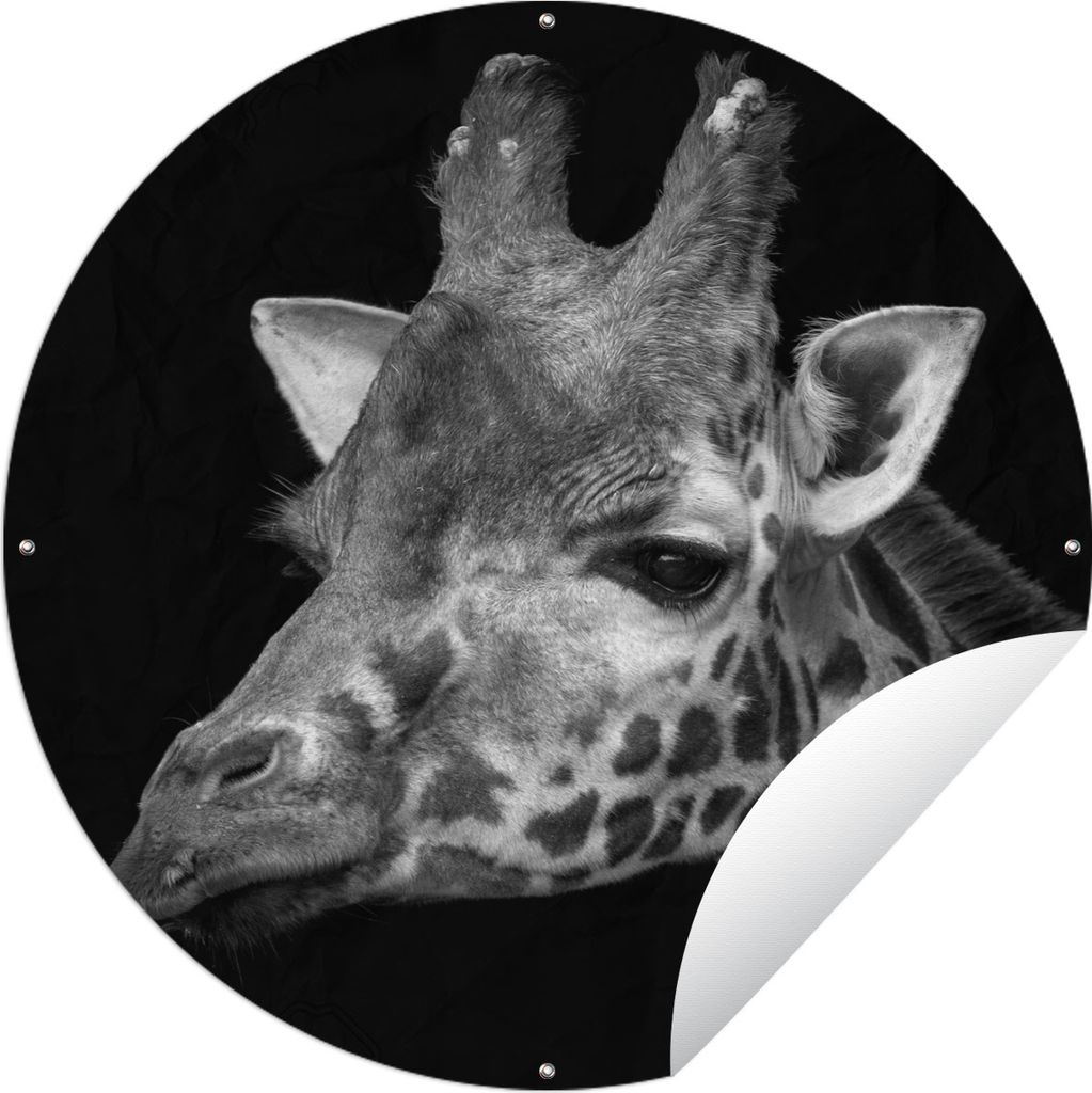 MuchoWow Gartenposter Outdoor-Poster Rund Porträt einer Giraffe auf schwarzem Hintergrund - schwarz und weiß Ø 90 cm Gartendeko Rundes Poster ...