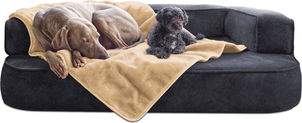 tierlando Hundedecke LILLY Flauschige Haustier-, Welpen-, Katzen-, Plüschdecke - Größe: 150x100cm | Farbe: 14 Beige