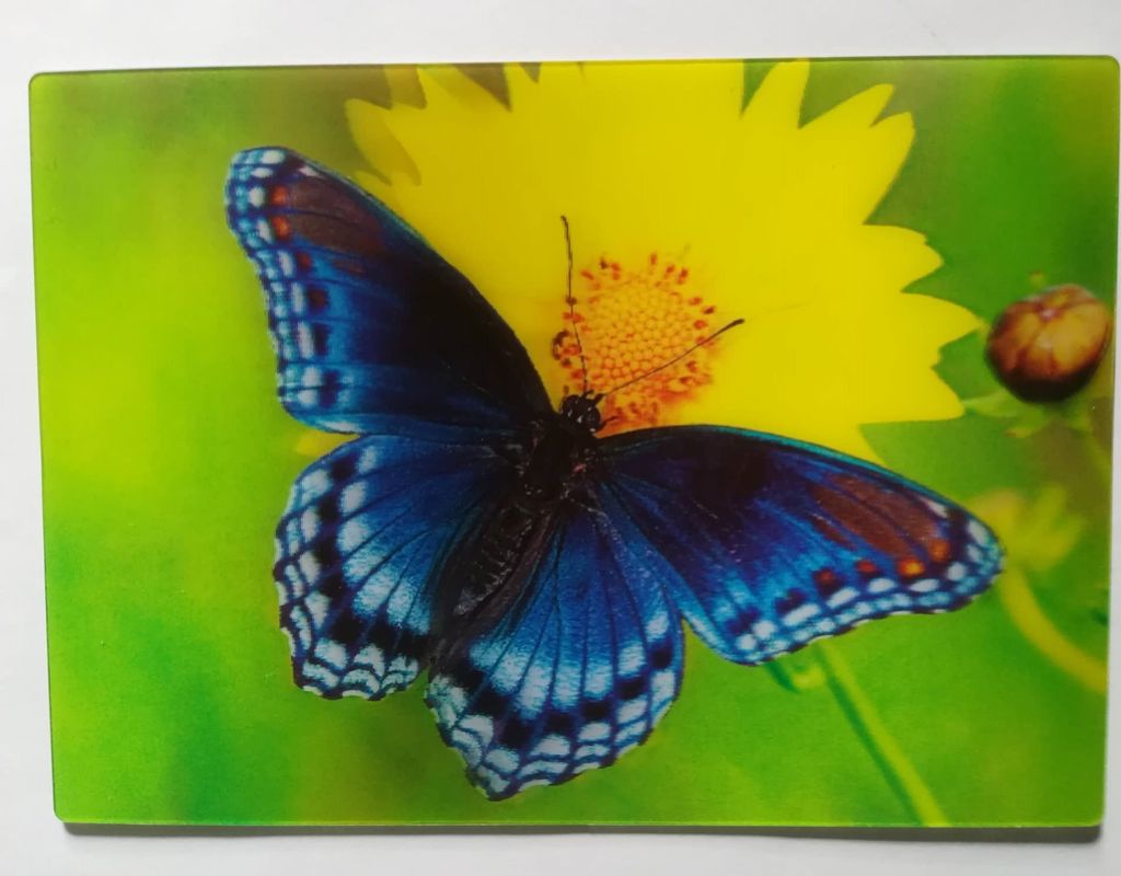 3 D Ansichtskarte blauer Schmetterling, Postkarte Wackelkarte Hologrammkarte, Falter