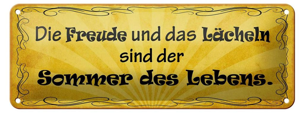 Blechschild Spruch 27x10cm Freude Lächeln Sommer des Lebens Dekoration