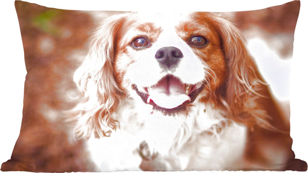 MuchoWow Zierkissen Sofakissen Wohnzimmer Dekokissen 50x30 cm Cavalier King Charles Spaniel im Herbst - Wohnzimmerdekoration - Polster mit Photo