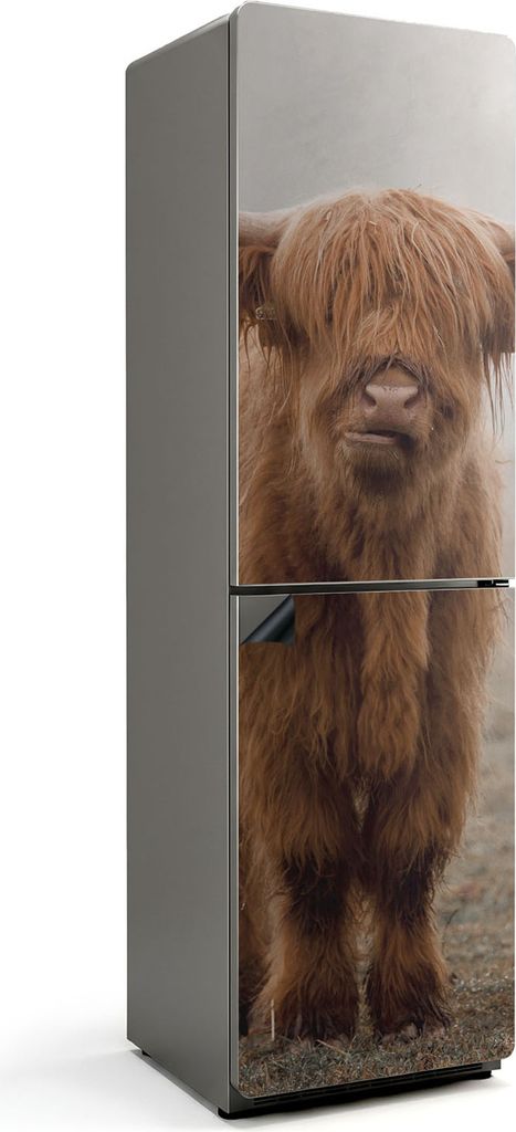 Jungvieh im mystischen Nebel – Magnetische Kühlschrank Abdeckung – Dekorfolie magnetisch Küche – Kühlschrank Magnet Deko – selbstklebend...