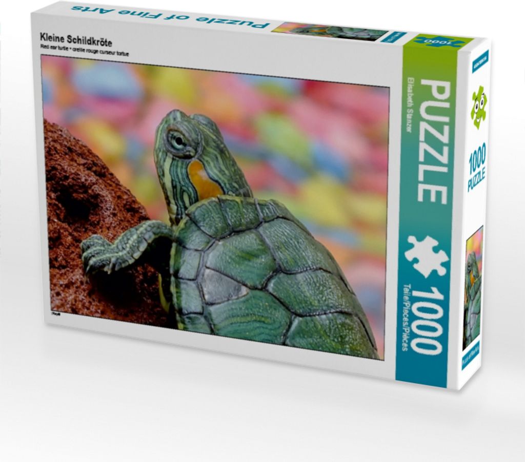 CALVENDO Puzzle Kleine Schildkröte | 1000 Teile Lege-Größe 64x48cm Foto-Puzzle für glückliche Stunden