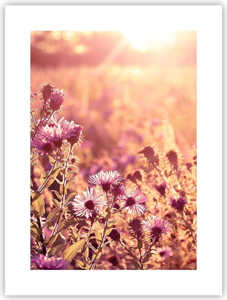Poster - Poster ohne Rahmen - Wiese Blumen Sonne - 30x40 cm - Wand Bild - Wanddeko - Wandbilder - Kunstposter - Wandposter - Bilder - Kunstdruck - ...